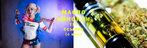 твердый Дмитров