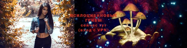 каннабис Дмитриев
