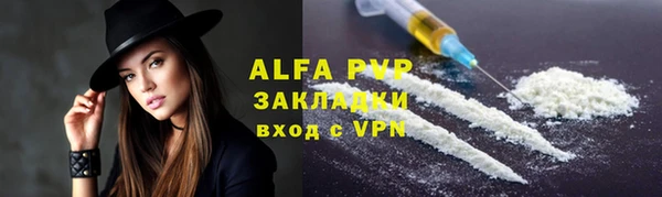 твердый Дмитров