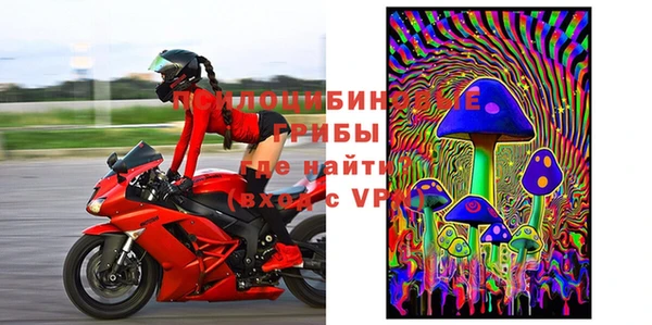 твердый Дмитров