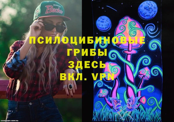 твердый Дмитров